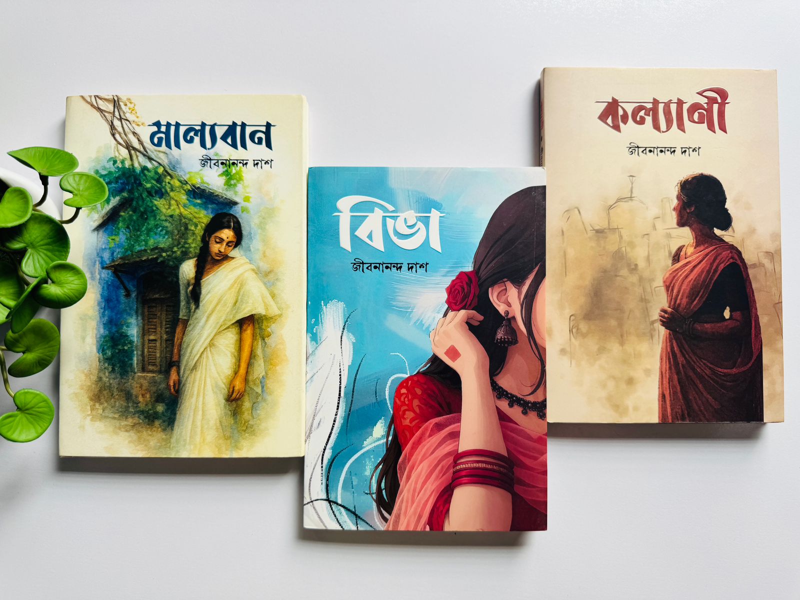জীবনানন্দ দাশের সেরা তিনটি বই